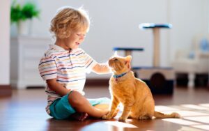 little boy playing with cat in phoenix